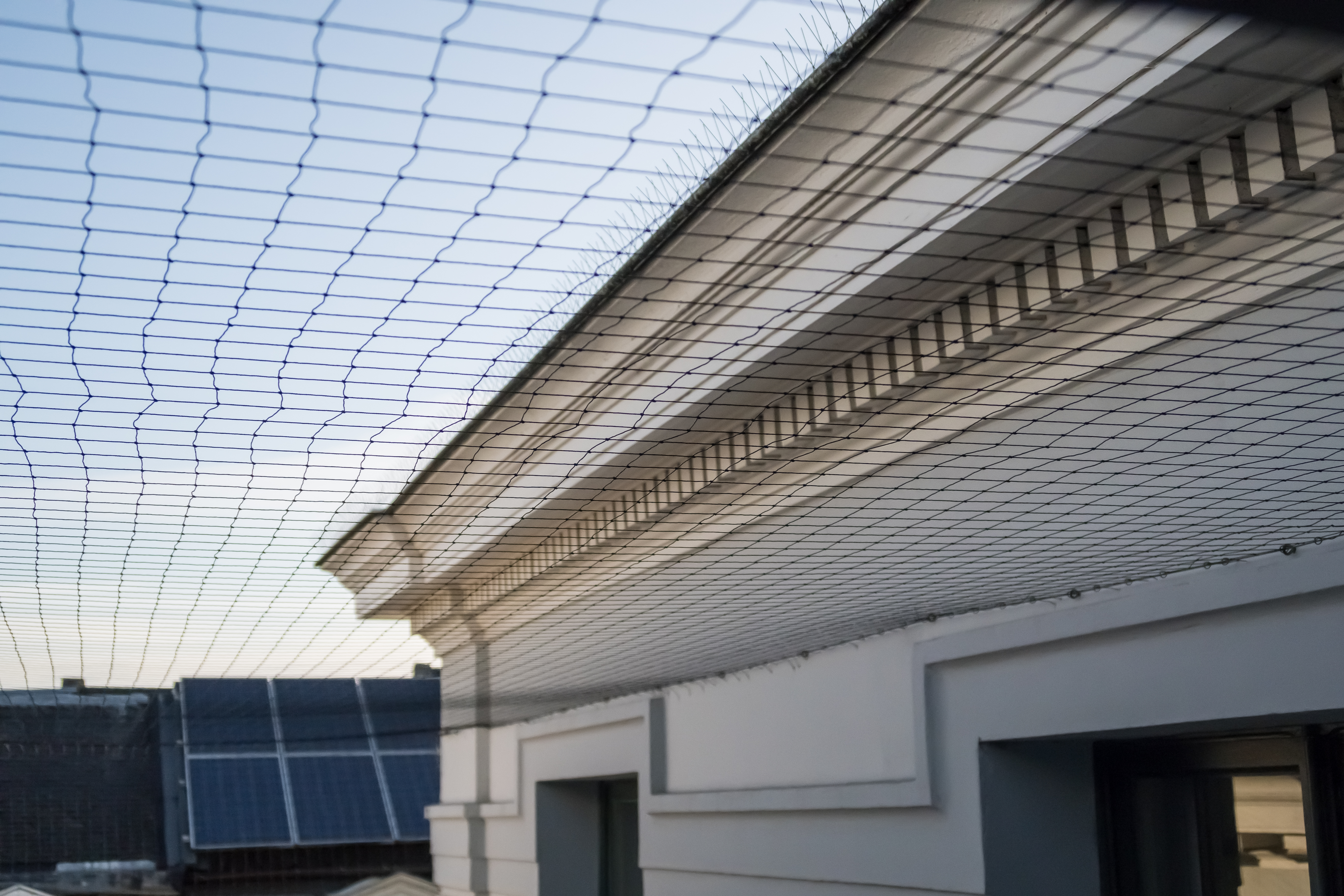 bird netting